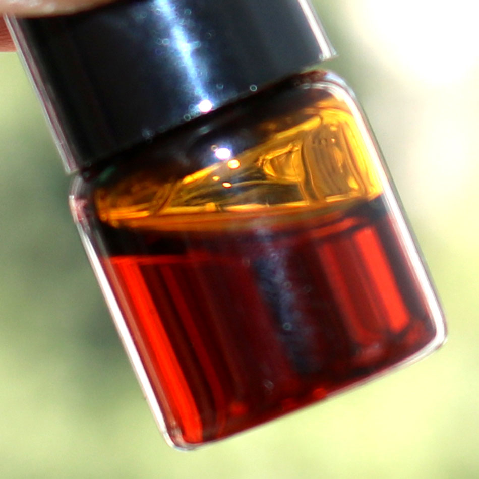 1ml/şişe otantik doğal kamboçy - Sandalwood Perfume Oil incelemesi ve fiyatı